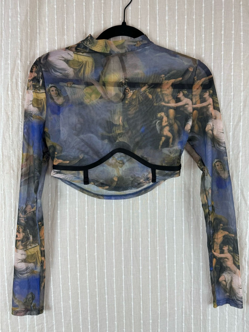 Fashion Nova Renaissance Print Sheer Crop-Top in Size Medium - Picture 3 of 13